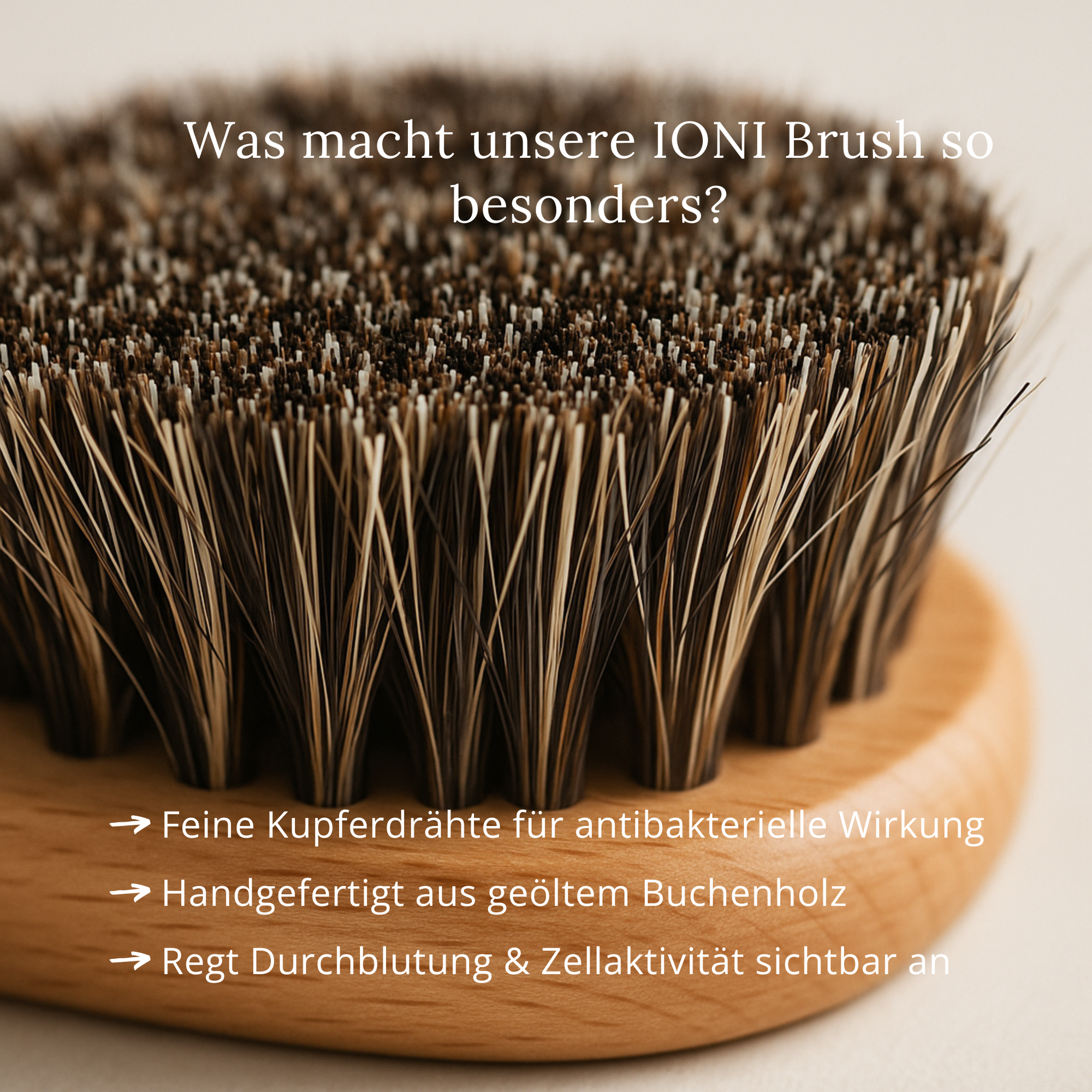 IONI facial dry brush